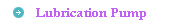 Lublication Pump